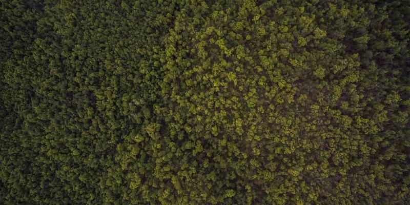 CCSUN007技术博客：深度解析量子密钥分发（QKD）网络原理与软件工具实践