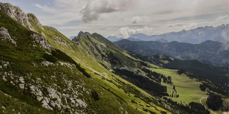 CCSUN007技术社区深度解析：从资源分享到编程开发的生态构建