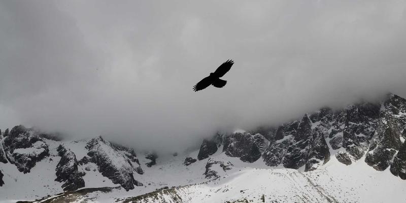 P4编程语言：揭秘数据平面可编程技术如何驱动自智网络革命 | CCSUN007技术博客