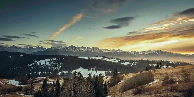 SD-WAN组网方案选型指南与实施难点解析：技术博客深度分享