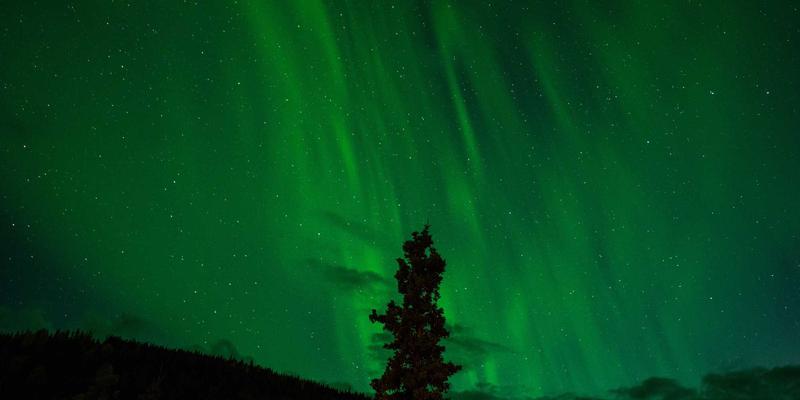 从监控到洞察：深度解析网络性能管理（NPM）与可观测性（Observability）的融合之道