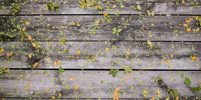 编程开发进阶指南：如何通过IT教程与技术博客构建持续成长体系