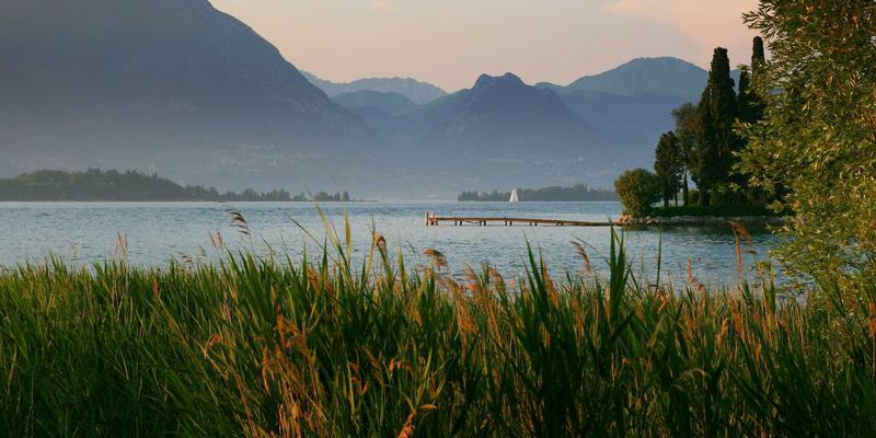 网络功能虚拟化实战指南：通过NFV技术降低企业网络运营成本的IT教程