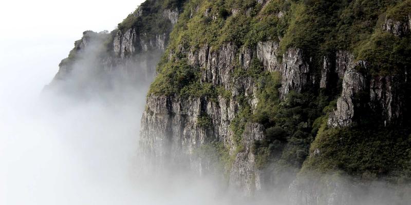 网络技术12：构建技术博客与IT教程的编程开发实战指南