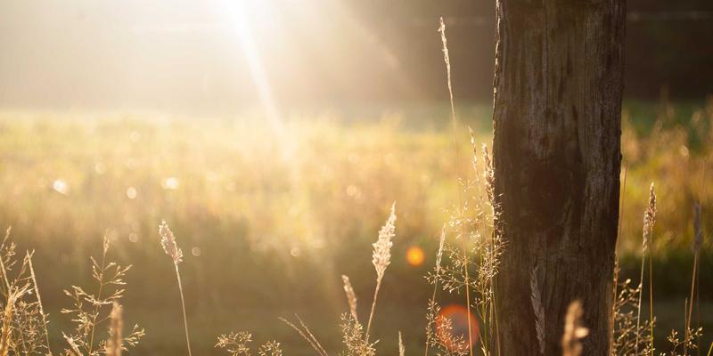 网络技术27:资源分享与技术博客如何塑造现代开发者生态