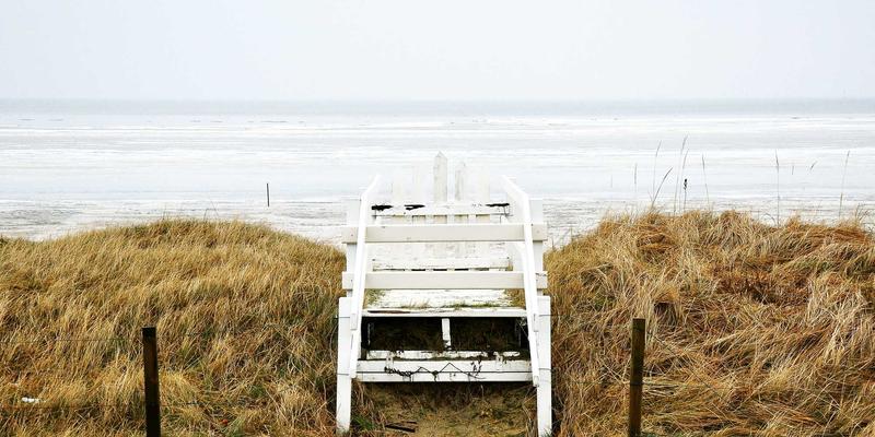 网络技术36：从资源分享到技术深化的进阶之路