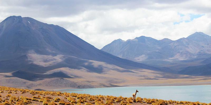 网络技术62：从基础到前沿，开发者不可不知的技术演进与实战指南