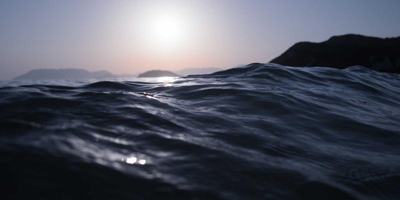 网络技术74：编程开发与资源分享的融合之道