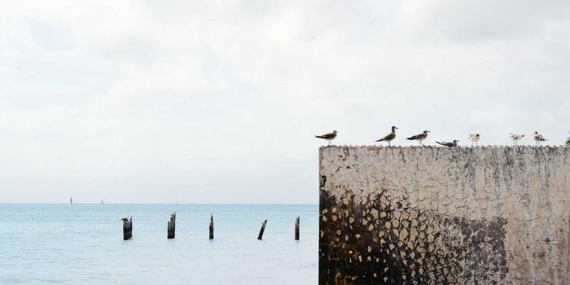 网络技术79：资源分享与技术博客如何塑造现代开发者生态