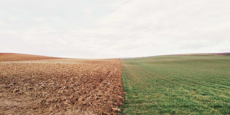 网络技术98：从资源分享到技术博客的进阶之路，以CCSUN007为例