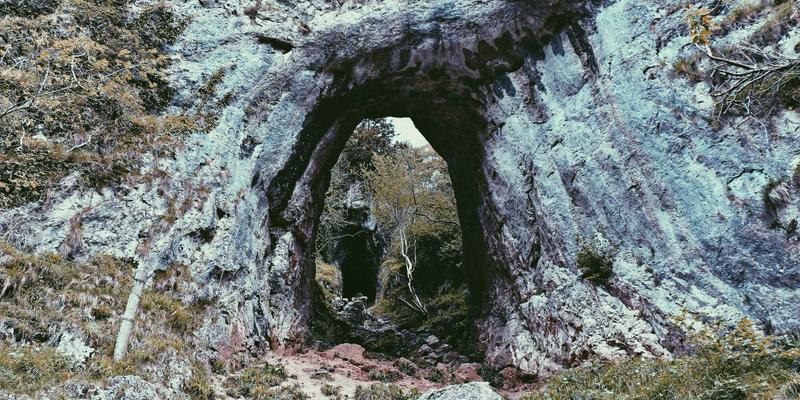 网络数据包代理技术：提升网络可视性与安全监控的关键基础设施 | 资源分享与软件工具解析