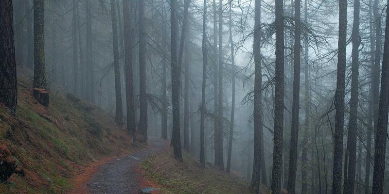 资源分享与编程开发:高效利用IT教程提升网络技术能力