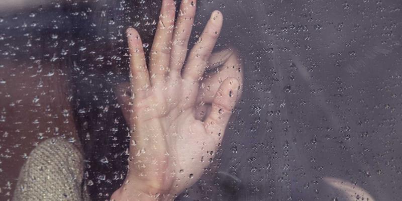 软件工具与资源分享新纪元：从CCSUN007看网络技术对比与选择策略