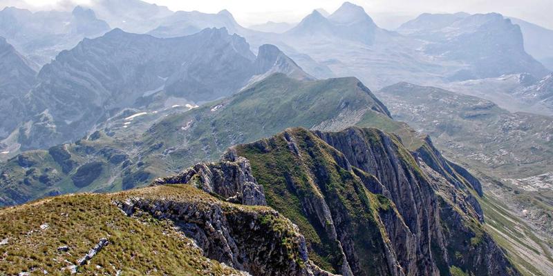 边缘计算网络架构设计：应对物联网海量数据的实战指南